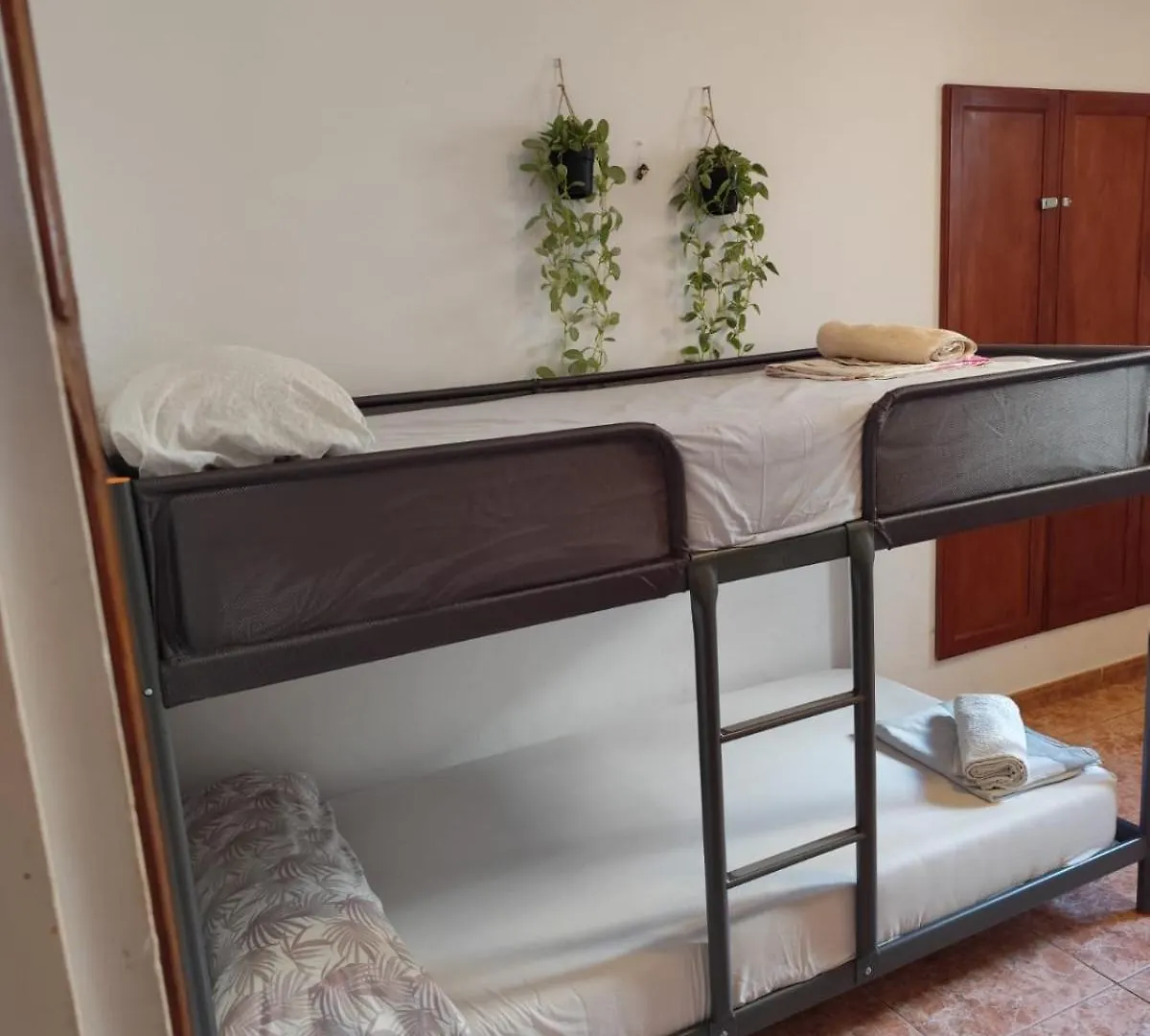 Banana Surf House Hotel Los Cristianos  Guest house